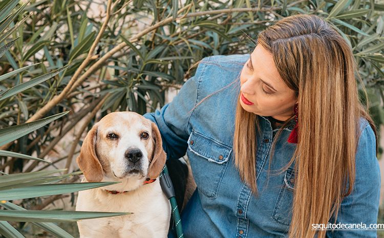 collares para perros originales