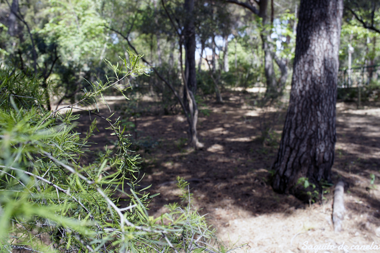 El parque de L'Eixereta de Burjassot