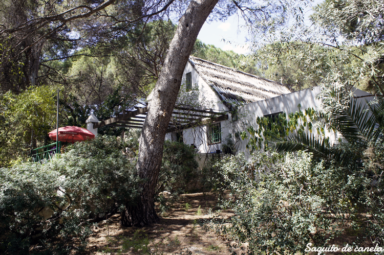 El parque de L'Eixereta de Burjassot